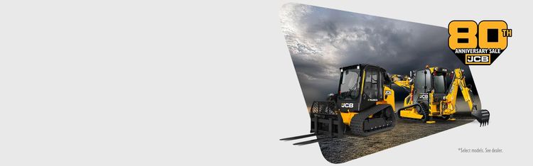 JCB スノーボード ハニカムパターン 2425 FANATIC 新作情報 | ビーズイースト b's east 町田の
